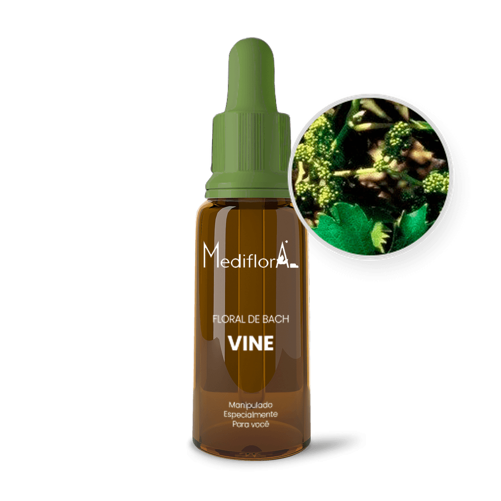 Imagem não encontrada